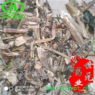 世元药业 荨麻草 小蛇麻草 藿麻 毛藐 荨草图2