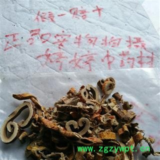 白桑皮统产地广西壮族自治区玉林市陆川县图3