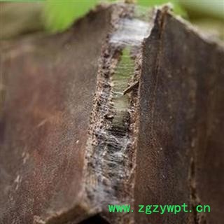 杜仲皮 1000克 厚皮图4