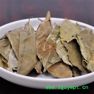 橘叶橘树叶 桔叶 橘子叶 金桔叶 橘叶 桔叶 统货 产地 浙江省图4