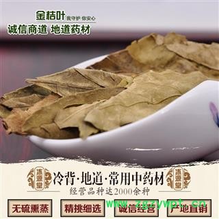 橘叶橘树叶 桔叶 橘子叶 金桔叶 橘叶 桔叶 统货 产地 浙江省图2