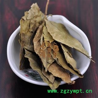 橘叶橘树叶 桔叶 橘子叶 金桔叶 橘叶 桔叶 统货 产地 浙江省图3