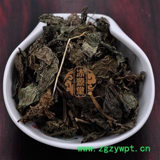 紫苏叶 统货 产地 河北省图2