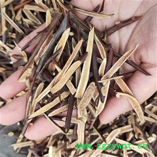 皂角刺 皂角刺老刺选片方便好用一手货源 产地 山东省图2