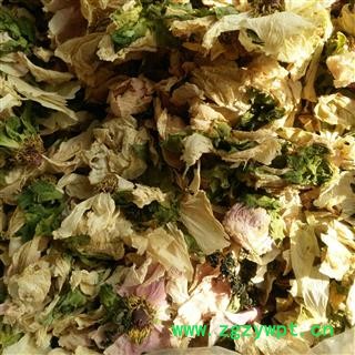 牡丹皮 牡丹花 产地 安徽省图2