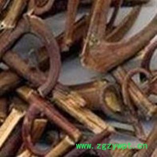 精品选装钩藤 含钩70% 质量保证 假一赔十图2