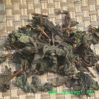 紫苏叶1000克图2