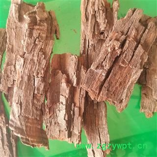 枣树皮 枣树皮 酸枣树根皮图3