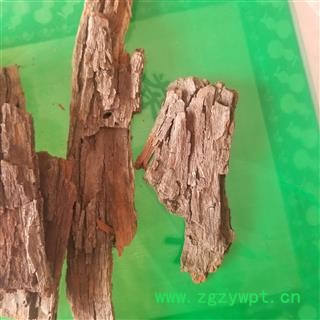 枣树皮 枣树皮 酸枣树根皮图2