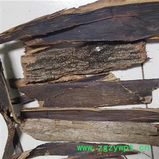 瑞森药材行梓白皮新货梓白皮 梓皮 梓树皮图2