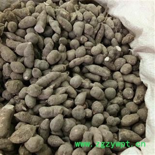 三叶青 14个筛子以上选货 大选个 产地 贵州省图2