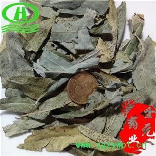 世元药业 柳叶 柳树叶 垂柳 杨柳 小杨 水柳 青丝柳 垂丝柳 清明柳图2