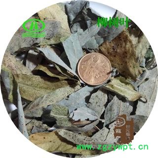 世元药业 柳叶 柳树叶 垂柳 杨柳 小杨 水柳 青丝柳 垂丝柳 清明柳图3