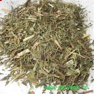 瑞森药材行夜关门  新货铁扫帚 封草 野鸡草 小首蓿 截叶铁扫帚 绢毛胡枝子 小叶胡枝子图2