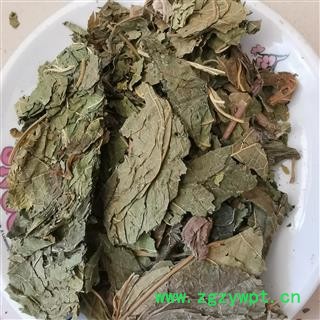 瑞森药材行桑叶 青桑叶另有霜桑叶 霜桑叶图3