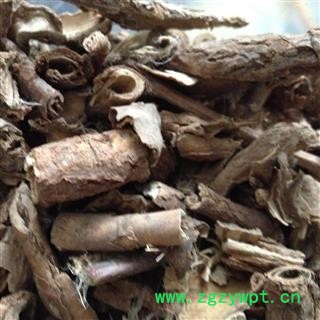 香加皮 香五加皮 产地 甘肃省图2