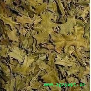 十大功劳叶 统 产地 湖北省图2