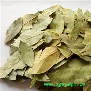 香叶 统货 产地 广西壮族自治区 凯捷中药图3