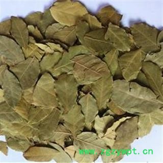 香叶 统货 产地 广西壮族自治区 凯捷中药图4