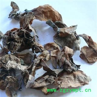 荷花 荷花瓣 莲花瓣 干荷花 统 产地 山东省 凯捷中药图2