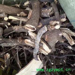 酸枣树皮 根段 产地 河南省平顶山市汝州市图4