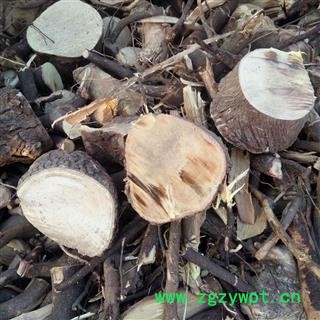 酸枣树皮 根段 产地 河南省平顶山市汝州市图3