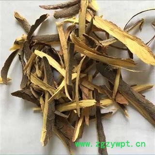 圣草康园枣树皮酸枣树皮 根皮图2