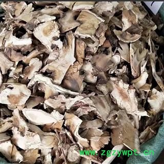 瑞森药材行桑树根老桑头老桑树根老桑树头老桑枝图2