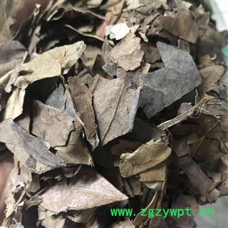 柿叶 秋后柿叶 （含量高）产地 河北省 买好药找娟子图2