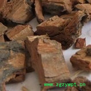 吉康药业  榆白皮  大货图2