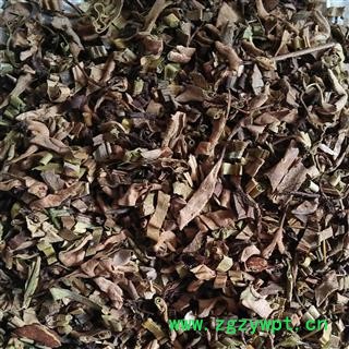 石韦 石苇 统货  产地 云南省 娟子中药图3