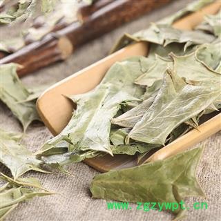 十大功劳叶 功劳叶 枸骨叶 猫儿刺 八角刺 老鼠刺图2