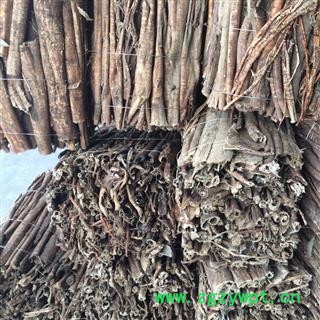 新辉药业中药材桑白皮  桑皮 桑根皮图2