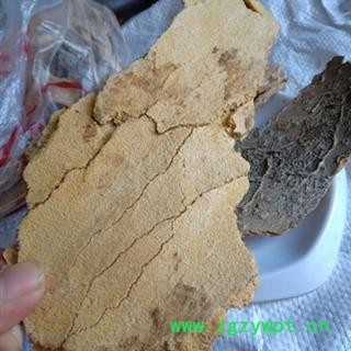 新辉药业中药材椿根皮 椿树皮 椿皮图2
