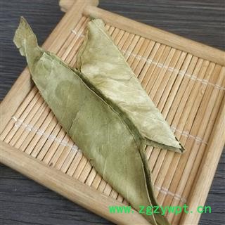 橘子叶干 橘叶  金橘叶 桔子叶 橘叶图4