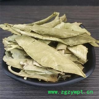 橘子叶干 橘叶  金橘叶 桔子叶 橘叶图2