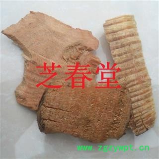 正品无硫中药材批发 松节松木 松枝 油松节量大从优图2