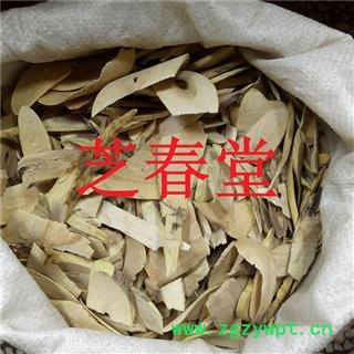 中药材 接骨木 扦扦活 接骨风 接骨丹 续骨木舒筋树 正品图4