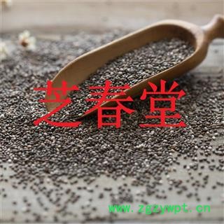 批发供应 奇亚籽 奇异子 奇雅 子 籽 鼠尾草种子 正品图3