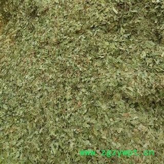 圣草康园淫羊藿 甘肃淫羊藿 小叶淫羊藿产地直供可供饮片厂图2