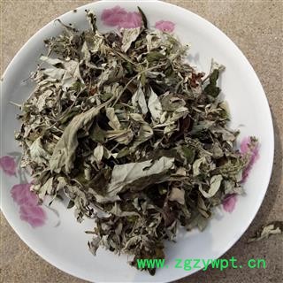 野生纯艾叶无杆子 精选野生 产地 河南省平顶山市汝州市图2