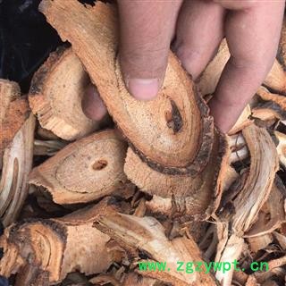 毒鱼藤 鱼藤 产地 广东省 买好药找娟子图2