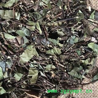 络石藤 络石藤 干净 好统货 产地 河南省 买好药找娟子图3