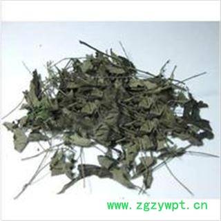 中药材牡荆叶牡荆叶图2