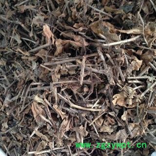 吉康药业石榕大叶榕藤图2