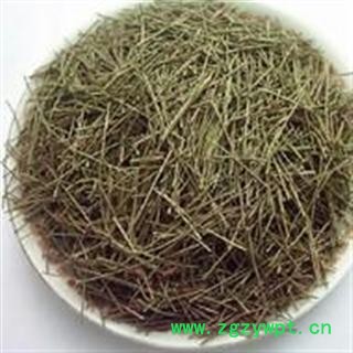 松针 松叶 马尾松针 松针图2