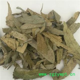 吉康药业柳树叶干柳树叶 柳枝叶子 柳树干叶图2