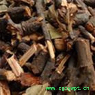 小丽百草行石南藤 石楠藤  丁公藤 爬岩香、巴岩香图2