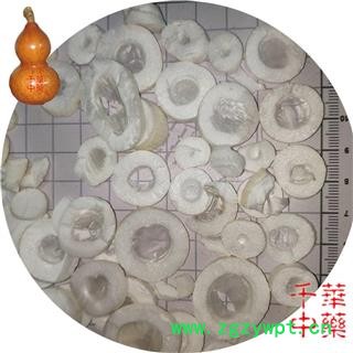 千华中药 大通草 正品100克/袋 别称 白通草 方通 寇脱 离南 活莌 倚商 通脱木 葱草 通花 花草图2