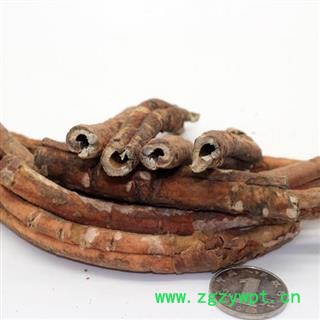 牡丹皮 选 产地 陕西省秦岭山区